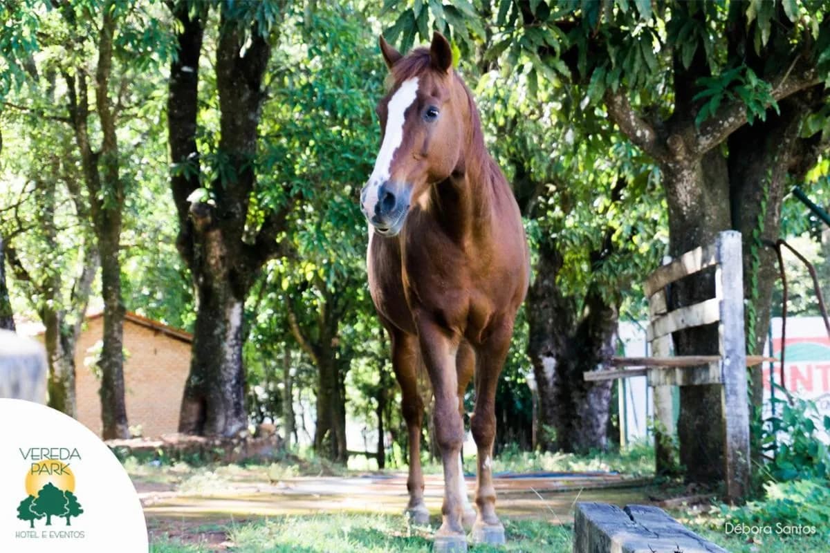 Vereda Park Hotel - Imagem 2