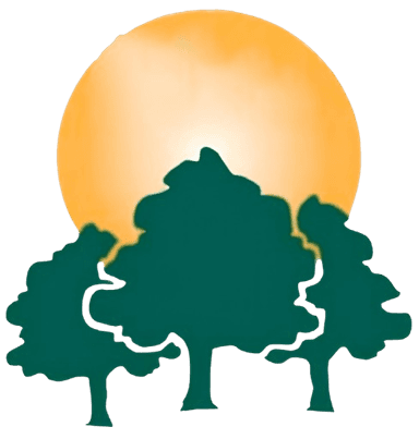 Vereda Logo
